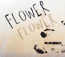 FLOWER　初回限定盤
