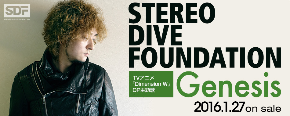 STEREO DIVE FOUNDATION