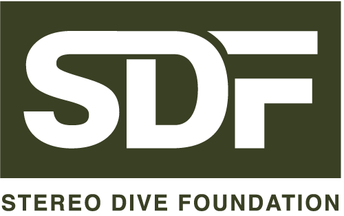 191003_SDF_logo.png