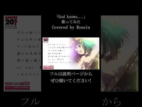 ▷God knows... ◁　- 涼宮ハルヒ -　≪歌ってみた　ROSEIN≫