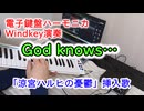 God knows…／涼宮ハルヒの憂鬱 挿入歌【電子鍵盤ハーモニカWindkey演奏】