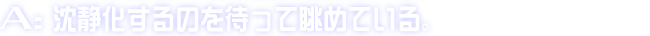 A:沈静化するのを待って眺めている。